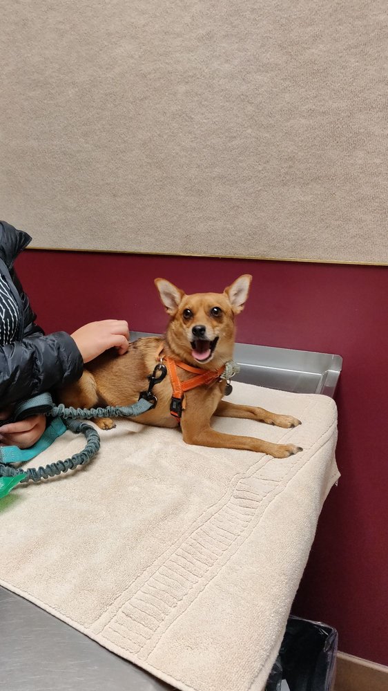 Canyon Crest Animal Hospital